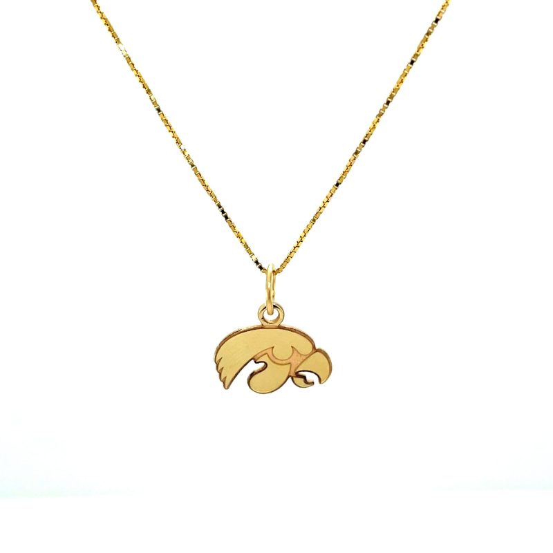 SMALL 10K YELLOW GOLD TIGERHAWK PENDANT WITH CHAIN