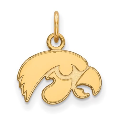 10K YELLOW GOLD TIGERHAWK PENDANT