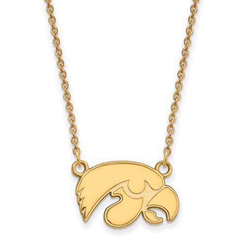 SMALL GOLD PLATE TIGERHAWK PENDANT WITH NECKLACE