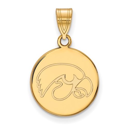 MEDIUM GOLD PLATED TIGERHAWK DISC PENDANT