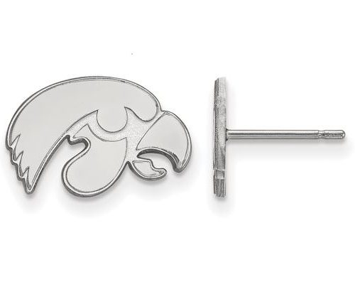 STERLING SILVER TIGERHAWK EARRINGS