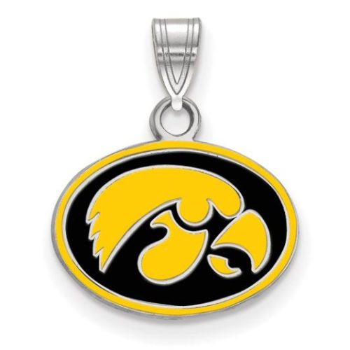 STERLING SILVER TIGERHAWK OVAL ENAMELED PENDANT