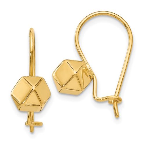 3D GEOMETRICAL SHAPE LEVERBACK DANGLE EARRINGS