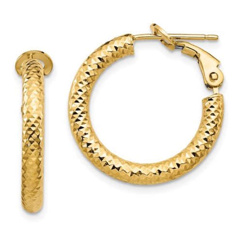 OMEGA BACK HOOP EARRINGS