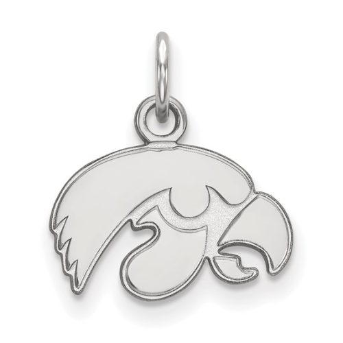 EXTRA SMALL STERLING SILVER TIGERHAWK CHARM