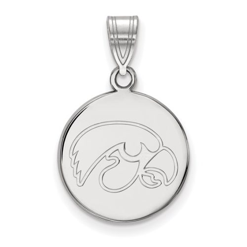 MEDIUM STERLING SILVER TIGERHAWK DISC PENDANT