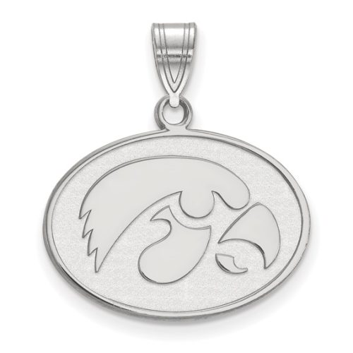 MEDIUM STERLING SILVER TIGERHAWK OVAL DISC PENDANT